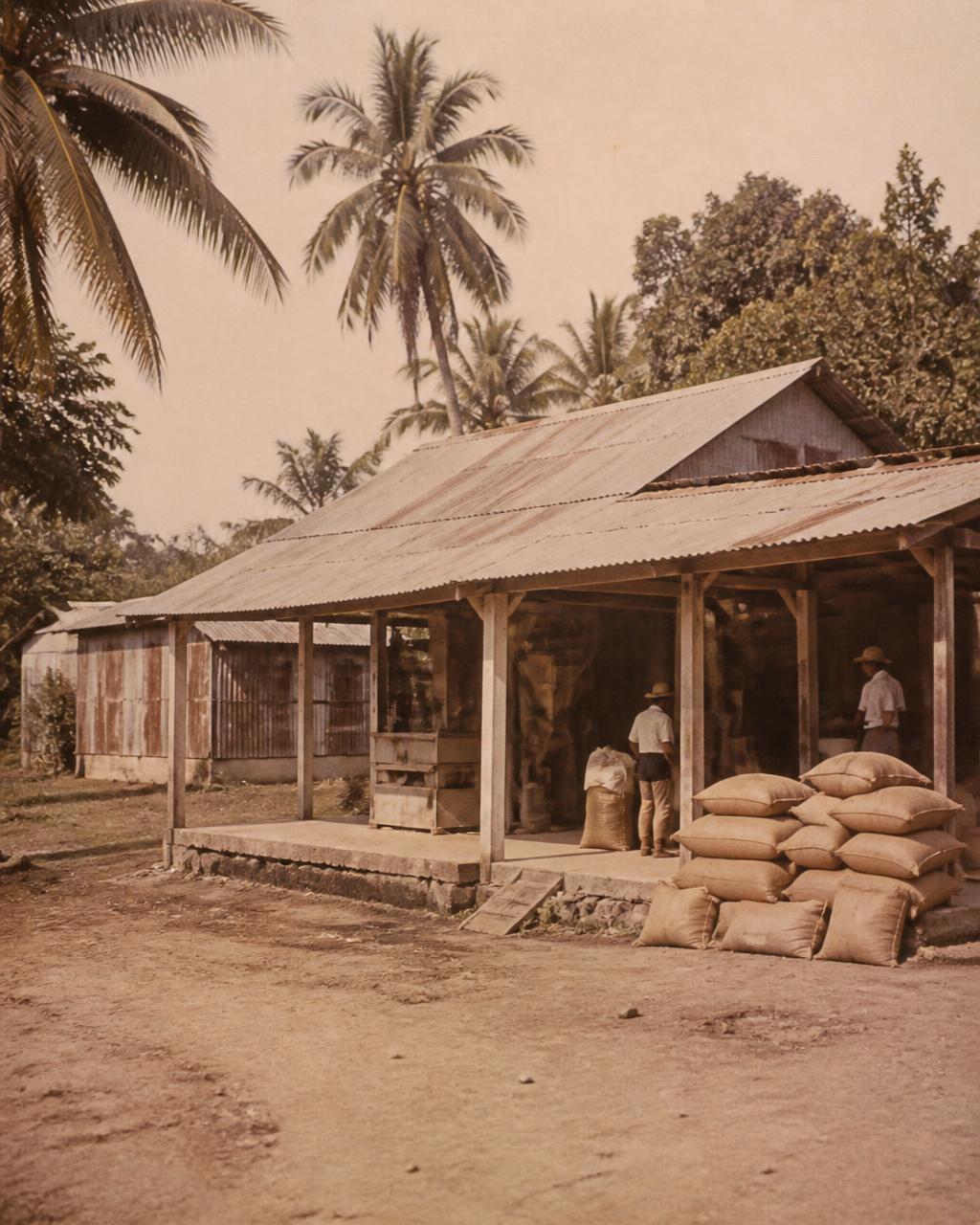 El molino original, 1974